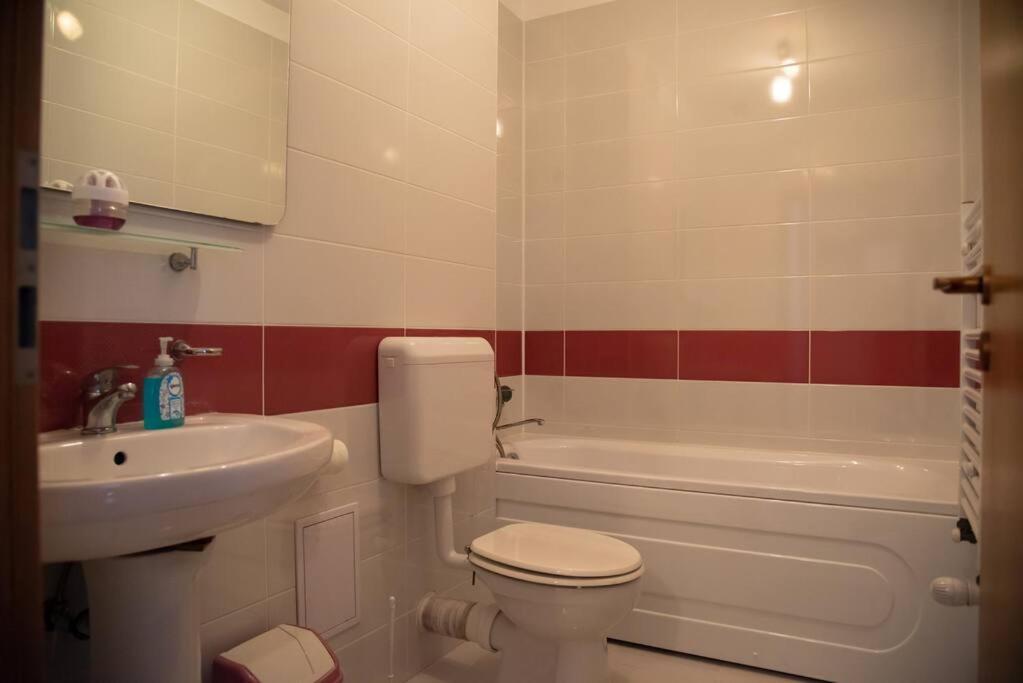 Apartament Cu 1 Camera Pentru Un Sejur Minunat Braşov Extérieur photo